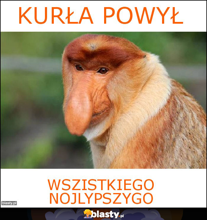 Kurła Powył