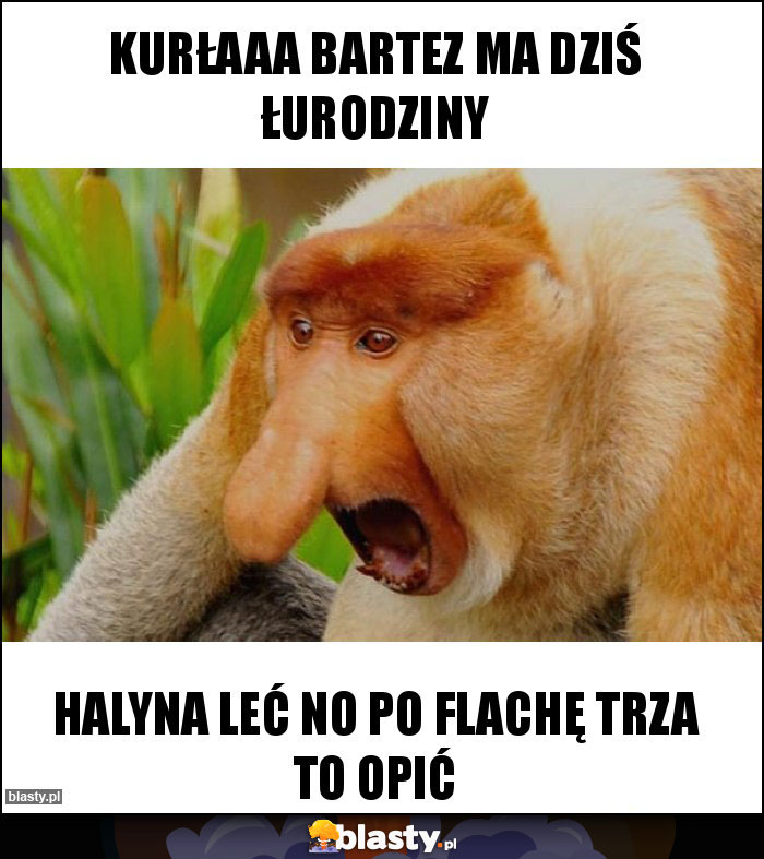 Kurłaaa Bartez ma dziś łurodziny Kurłaaa Bartez ma dziś łurodziny