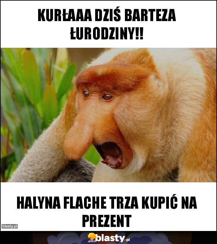 Kurłaaa dziś Barteza łurodziny!! Kurłaaa dziś Barteza łurodziny!!