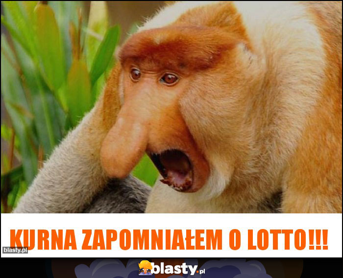 kurna zapomniałem o lotto!!! kurna zapomniałem o lotto!!!