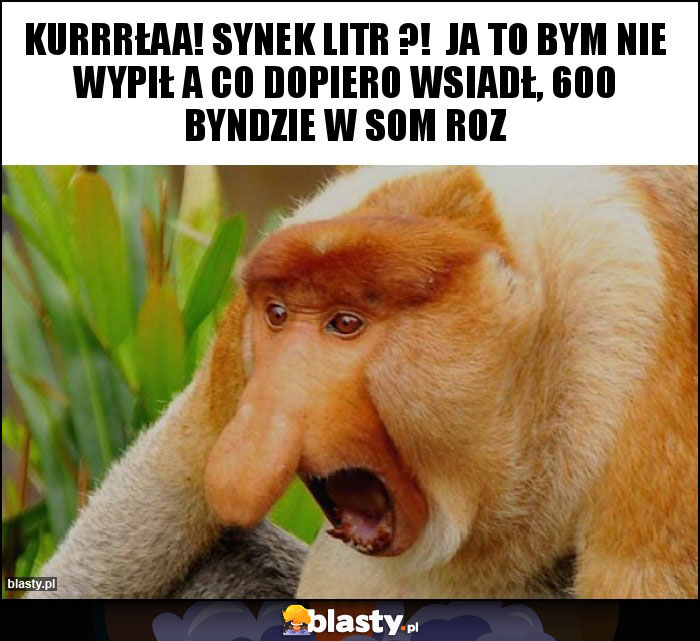 Kurrrłaa! Synek litr ?! Ja to bym nie wypił a co dopiero wsiadł, 600 byndzie w som roz Kurrrłaa! Synek litr ?! Ja to bym nie wypił a co dopiero wsiadł, 600 byndzie w som roz