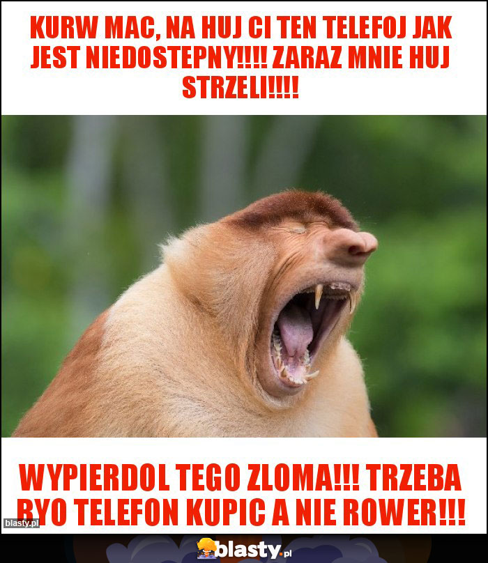 Kurw mac, na huj ci ten telefoj jak jest niedostepny!!!! Zaraz mnie huj strzeli!!!! Kurw mac, na huj ci ten telefoj jak jest niedostepny!!!! Zaraz mnie huj strzeli!!!!