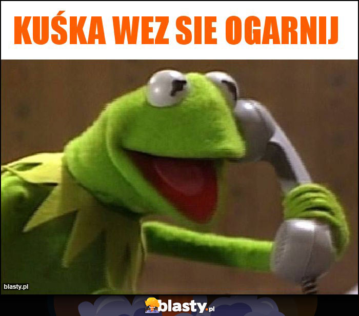 Kuśka wez sie ogarnij Kuśka wez sie ogarnij