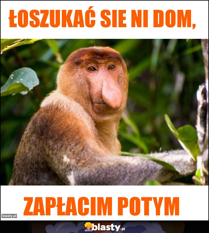 Łoszukać sie ni dom, Łoszukać sie ni dom,