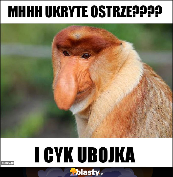 Mhhh ukryte ostrze???? Mhhh ukryte ostrze????