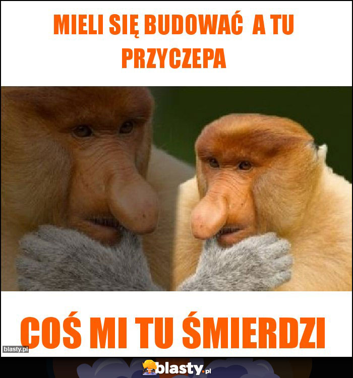 Mieli się budować a tu przyczepa Mieli się budować a tu przyczepa