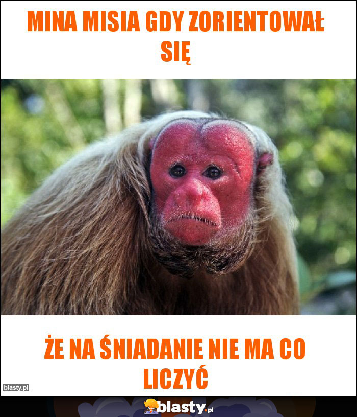Mina Misia gdy zorientował się Mina Misia gdy zorientował się
