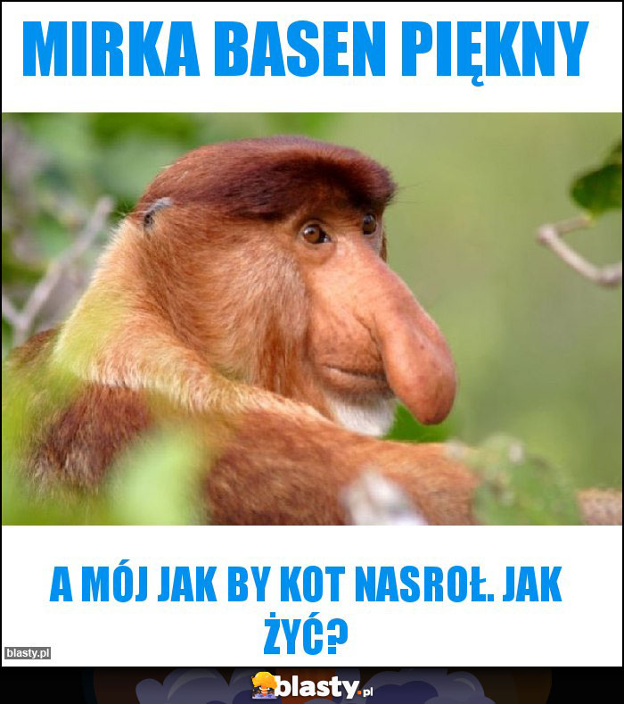 Mirka basen piękny Mirka basen piękny