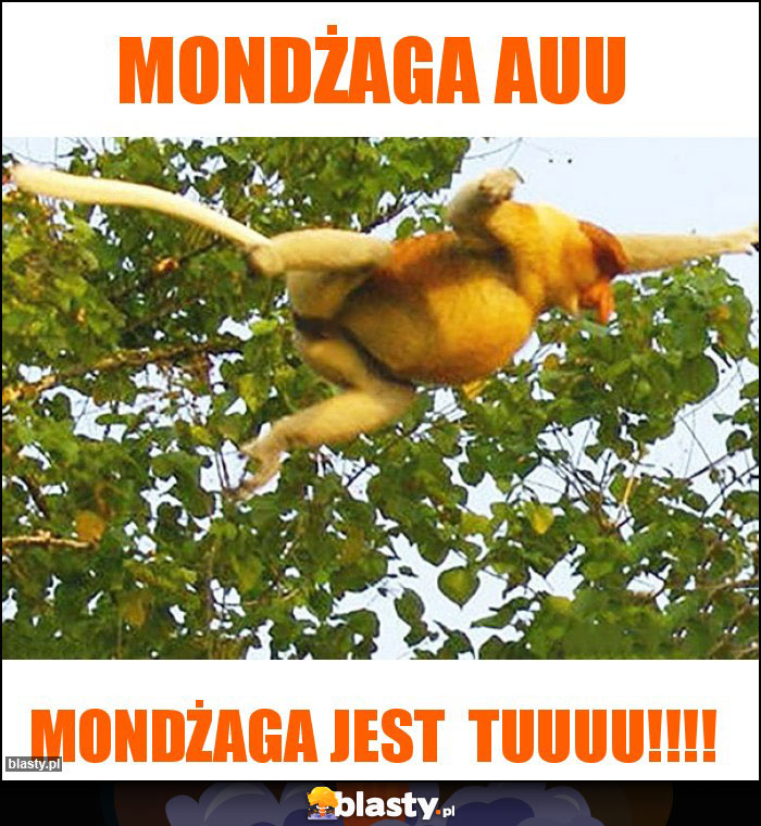 Mondżaga auu