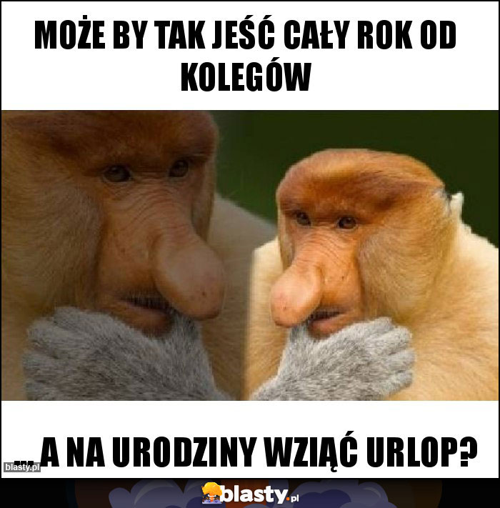 Może by tak jeść cały rok od kolegów Może by tak jeść cały rok od kolegów