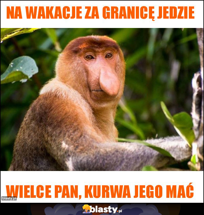 Na wakacje za granicę jedzie Na wakacje za granicę jedzie
