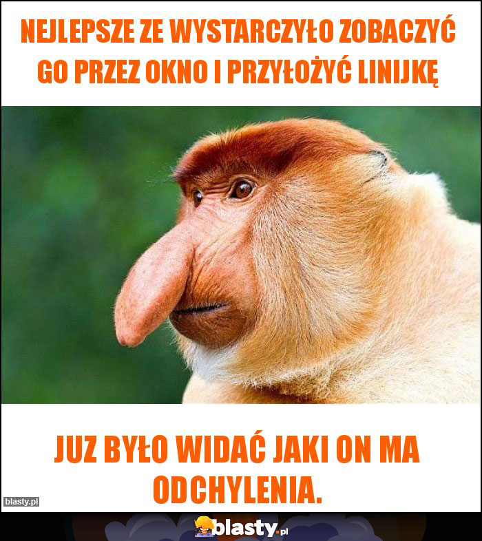 Nejlepsze ze wystarczyło zobaczyć go przez okno i przyłożyć linijkę Nejlepsze ze wystarczyło zobaczyć go przez okno i przyłożyć linijkę