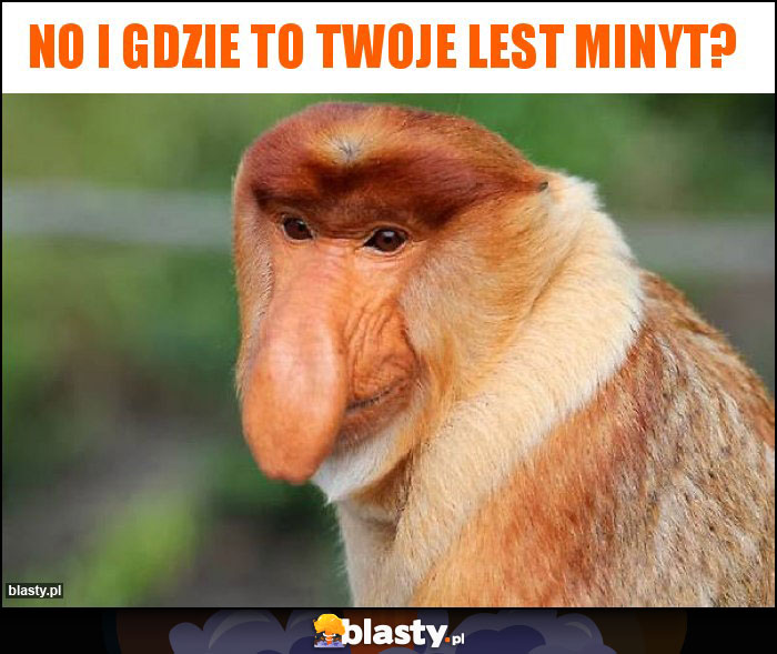 NO I GDZIE TO TWOJE LEST MINYT? NO I GDZIE TO TWOJE LEST MINYT?