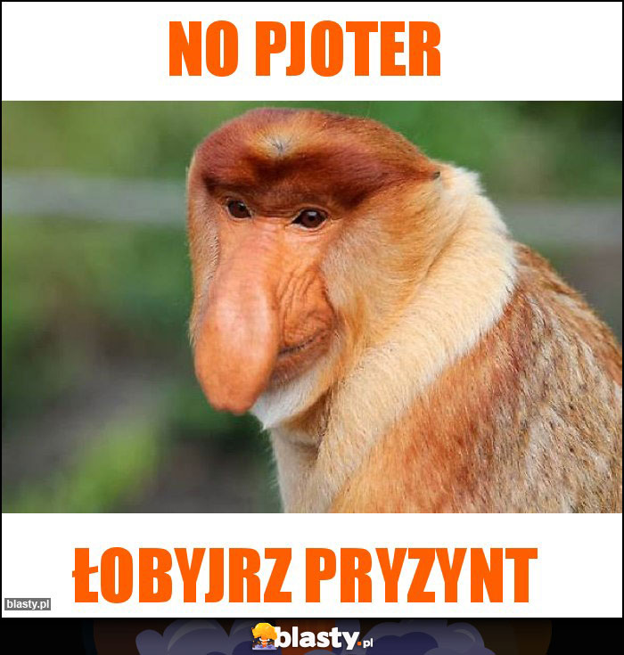 No pjoter