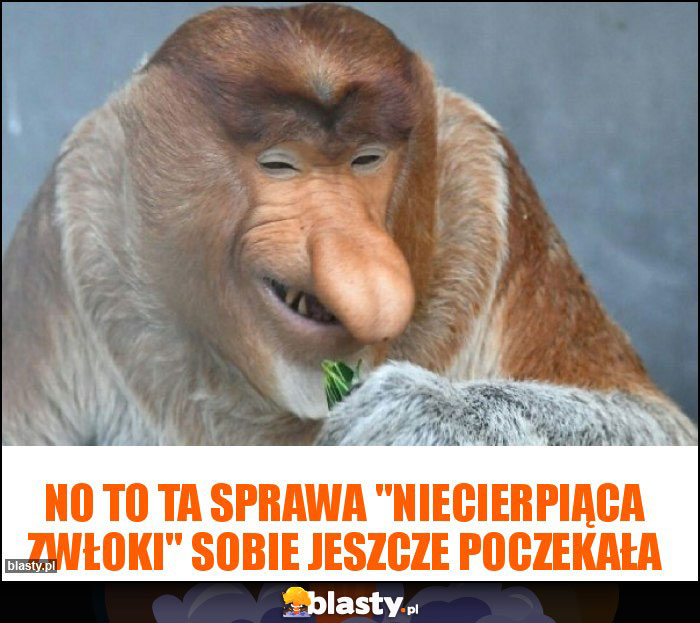 no to ta sprawa no to ta sprawa