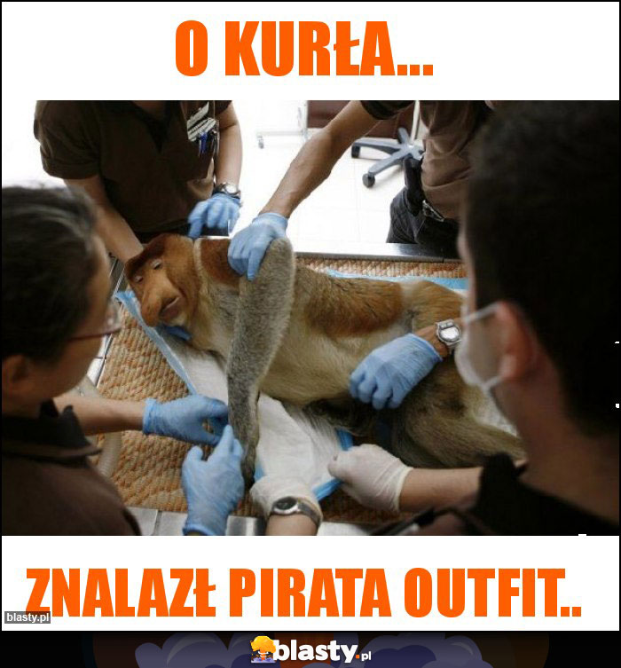 O kurła... O kurła...