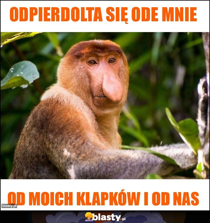 Odpierdolta się ode mnie Odpierdolta się ode mnie