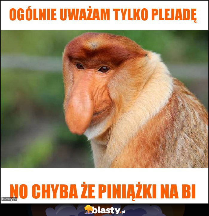 ogólnie uważam tylko plejadę ogólnie uważam tylko plejadę