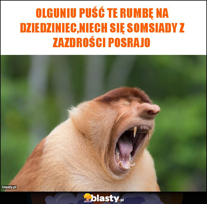 Olguniu puść te rumbę na dziedziniec,niech się somsiady z zazdrości posrajo Olguniu puść te rumbę na dziedziniec,niech się somsiady z zazdrości posrajo