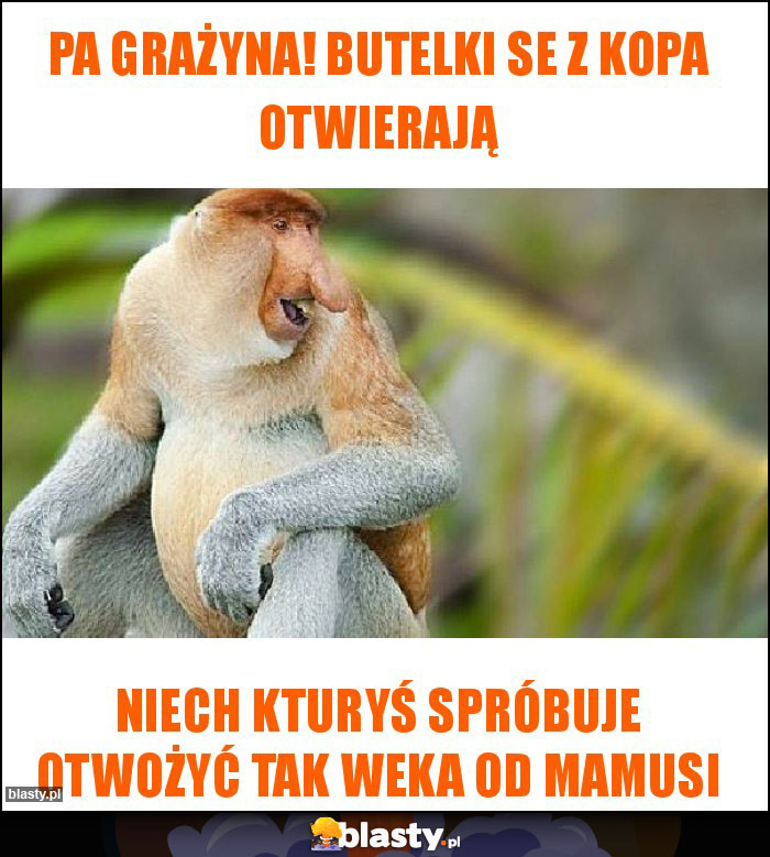 Pa Grażyna! Butelki se z kopa otwierają Pa Grażyna! Butelki se z kopa otwierają