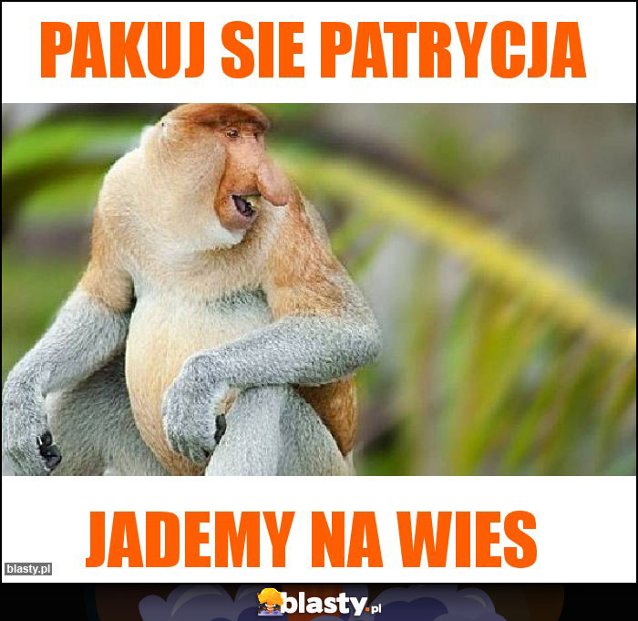Pakuj sie patrycja Pakuj sie patrycja