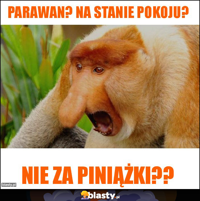 Parawan? Na stanie pokoju?