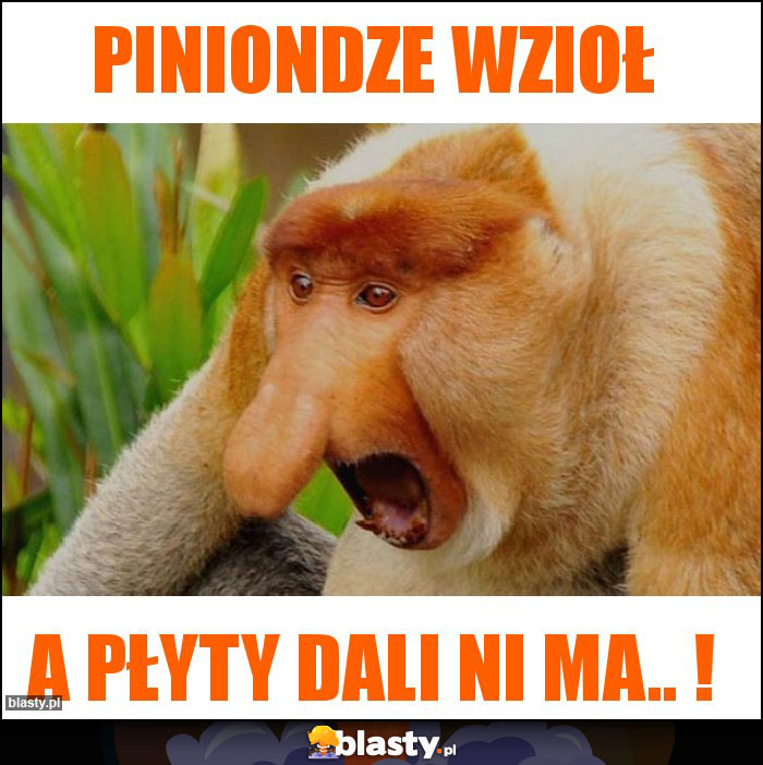 Piniondze wzioł Piniondze wzioł