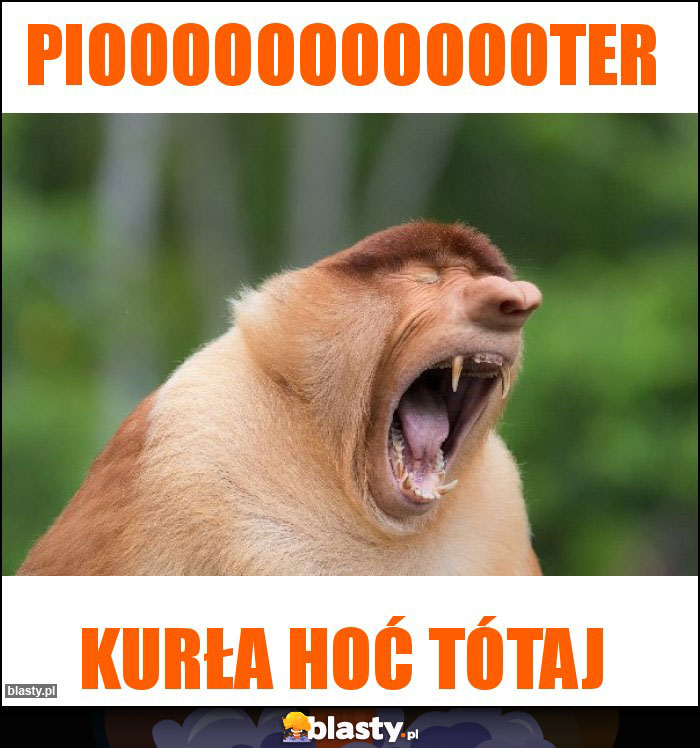 pioooooooooooter pioooooooooooter