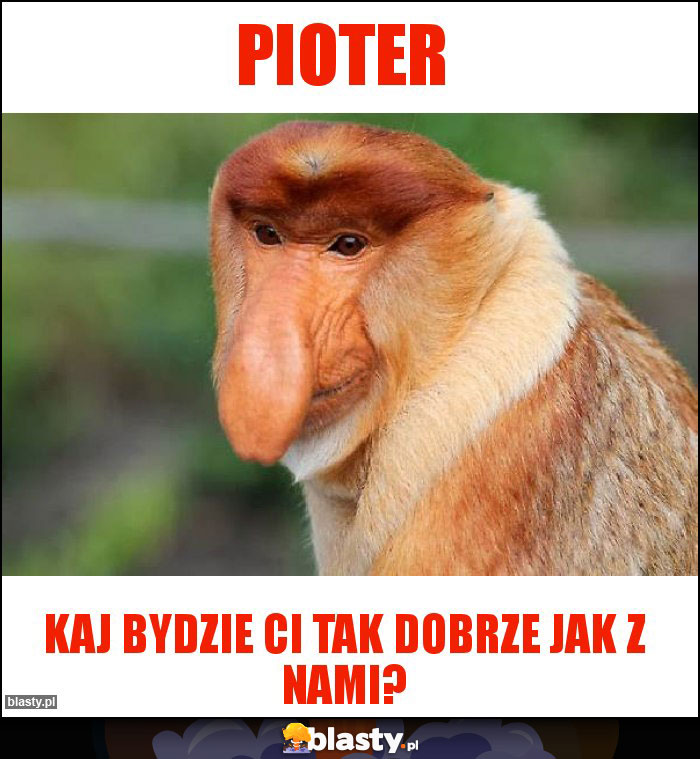 PIOTER