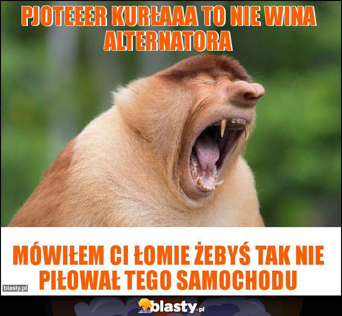 Pjoteeer kurłaaa to nie wina alternatora Pjoteeer kurłaaa to nie wina alternatora