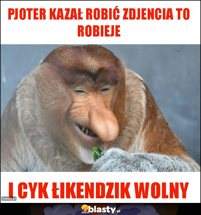 Pjoter kazał robić zdjencia to robieje Pjoter kazał robić zdjencia to robieje