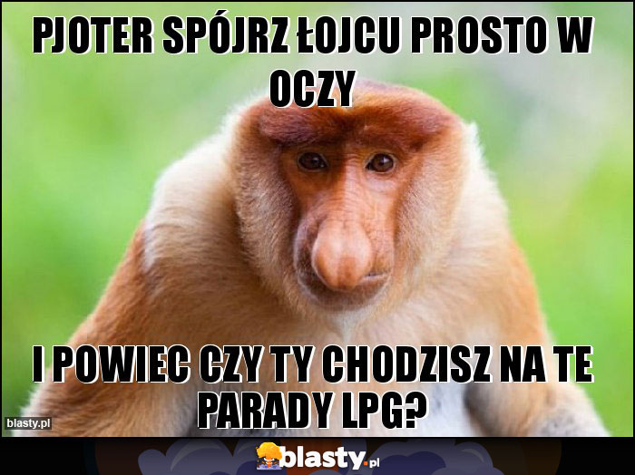 PJOTER SPÓJRZ ŁOJCU PROSTO W OCZY