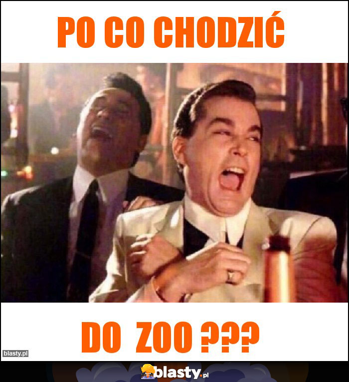 po co chodzić po co chodzić
