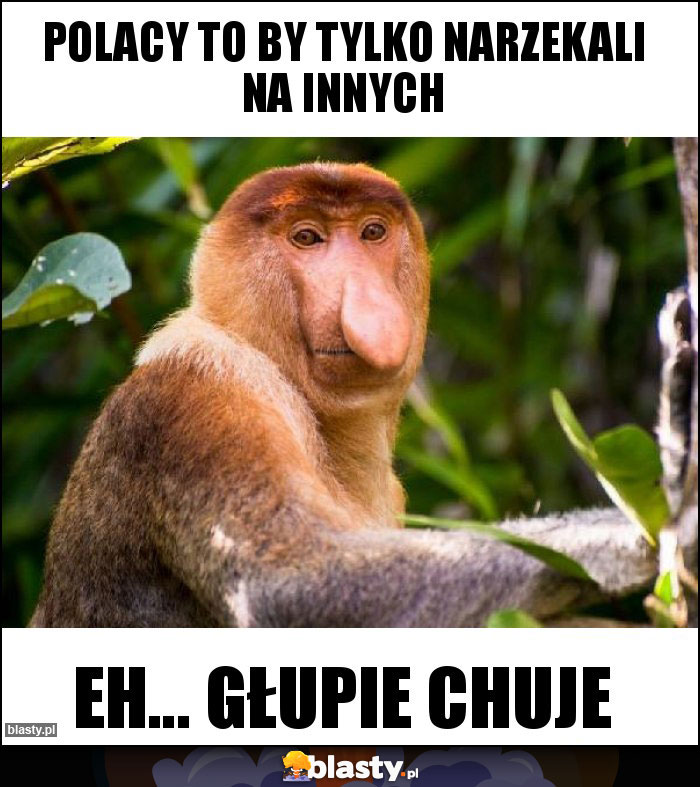 polacy to by tylko narzekali na innych polacy to by tylko narzekali na innych