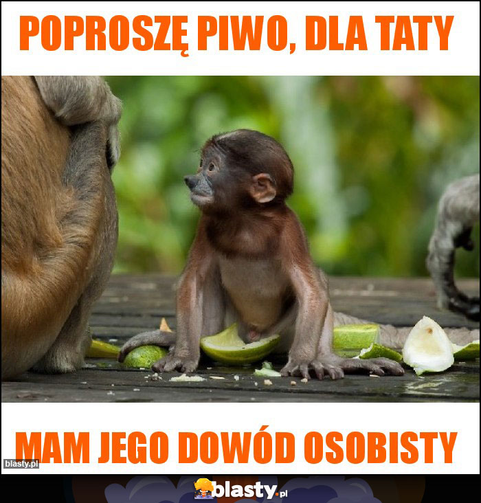 Poproszę piwo, dla taty Poproszę piwo, dla taty
