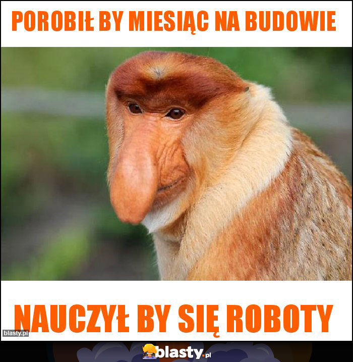 Porobił by miesiąc na budowie