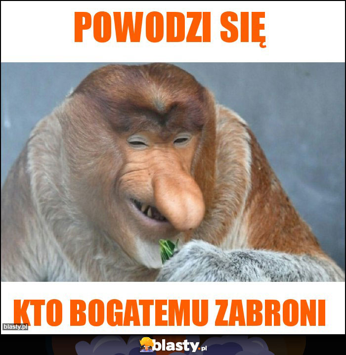 Powodzi się Powodzi się