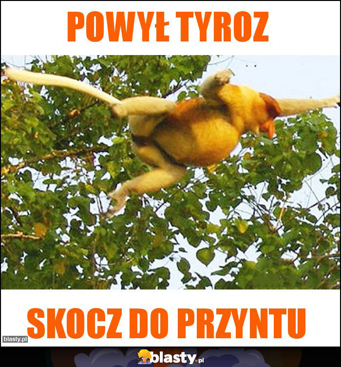 Powył tyroz