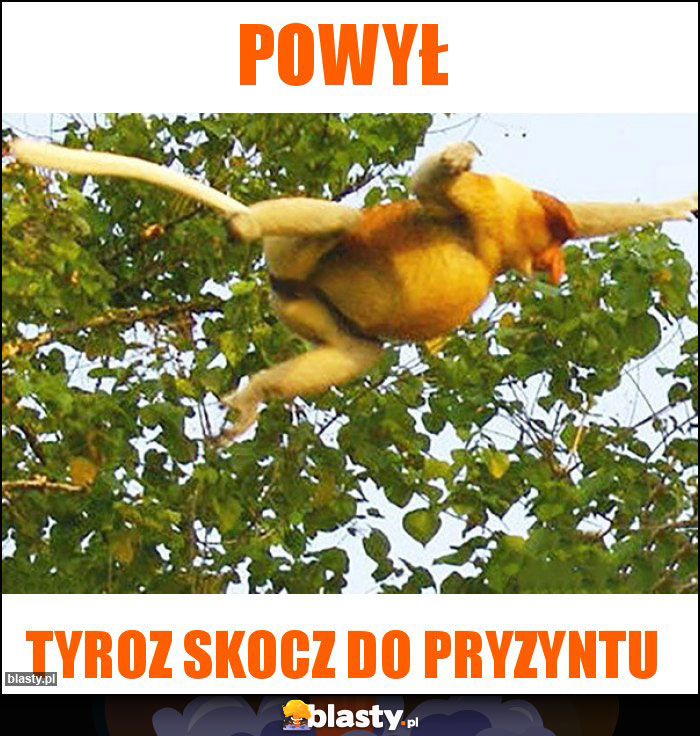 Powył