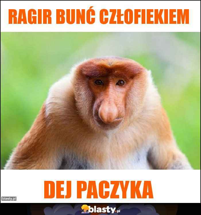 ragir bunć człofiekiem ragir bunć człofiekiem