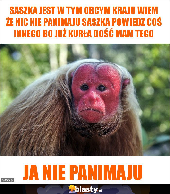 Saszka jest w tym obcym kraju wiem że nic nie panimaju saszka powiedz coś innego bo już kurła dość mam tego Saszka jest w tym obcym kraju wiem że nic nie panimaju saszka powiedz coś innego bo już kurła dość mam tego