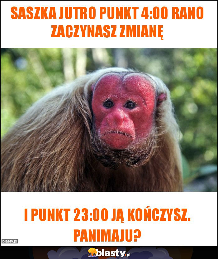 Saszka jutro punkt 4:00 rano zaczynasz zmianę Saszka jutro punkt 4:00 rano zaczynasz zmianę