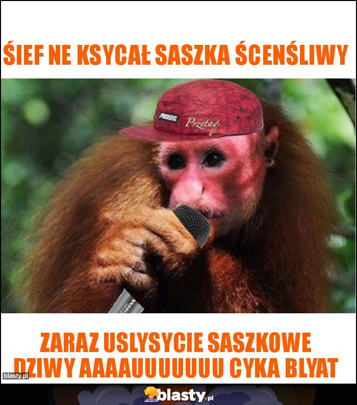 Śief ne ksycał Saszka ścenśliwy Śief ne ksycał Saszka ścenśliwy