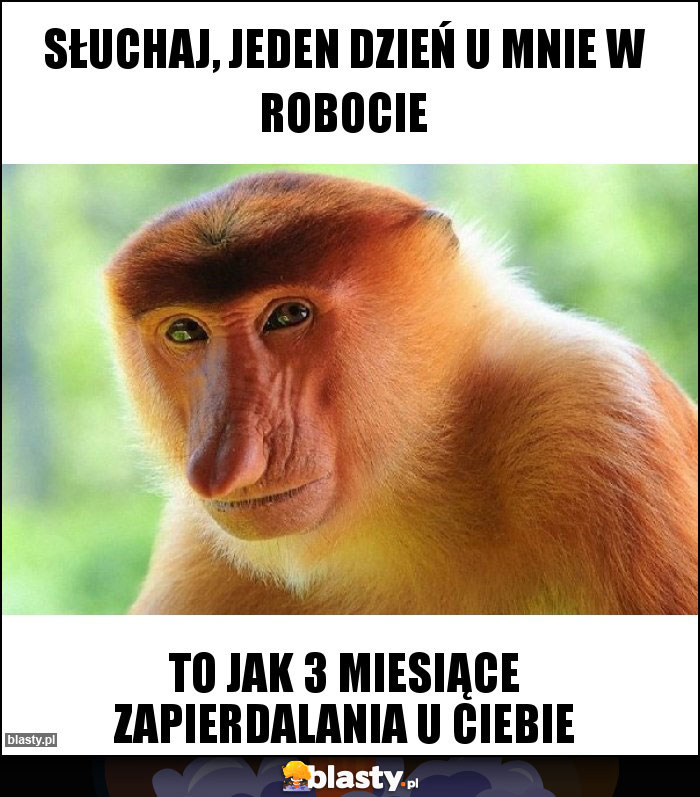 Słuchaj, jeden dzień u mnie w robocie Słuchaj, jeden dzień u mnie w robocie