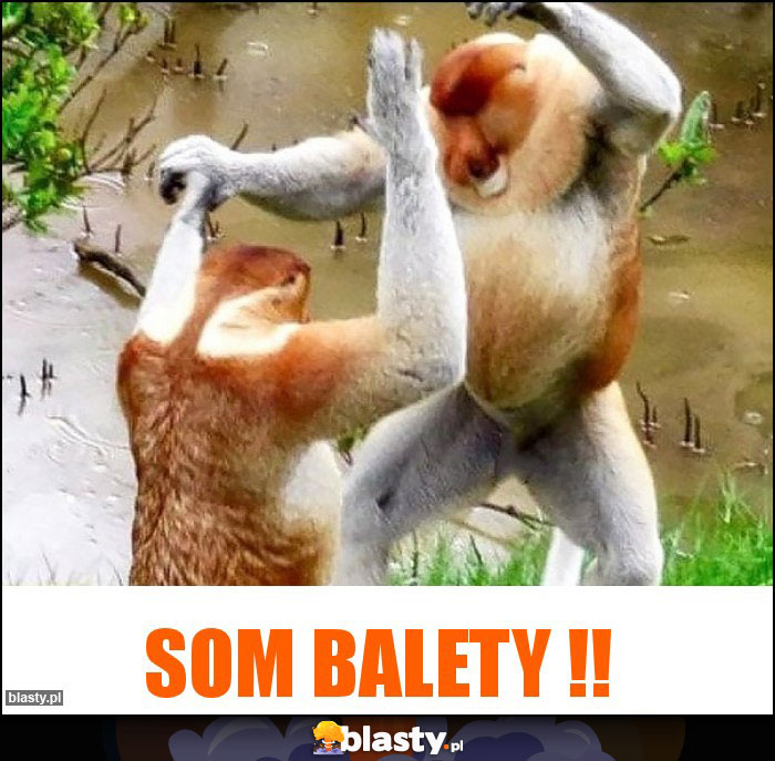 SOM BALETY !!