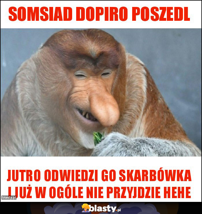 SOMSIAD DOPIRO POSZEDL SOMSIAD DOPIRO POSZEDL