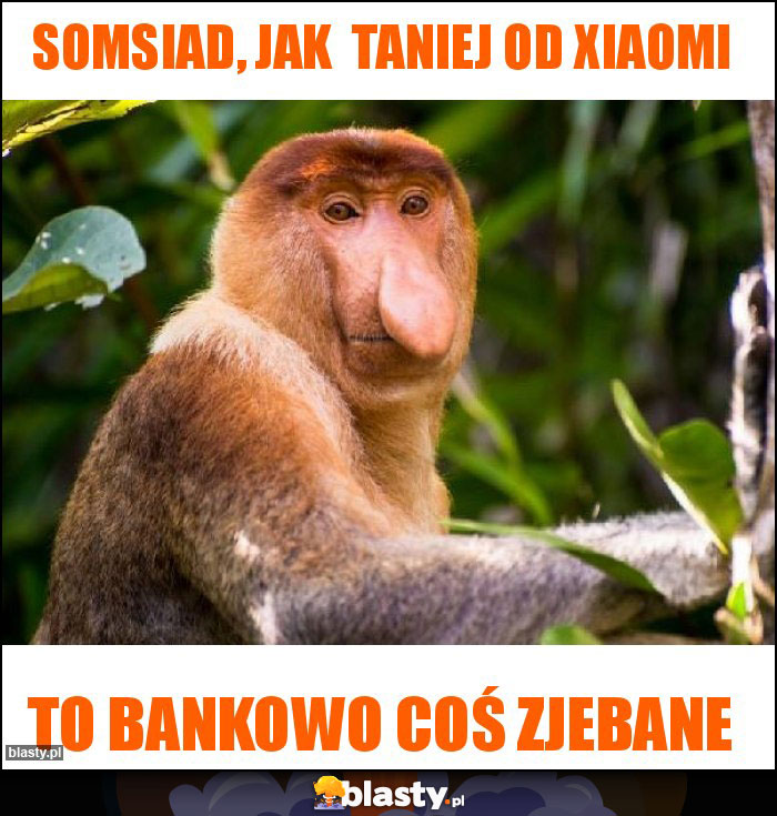 Somsiad, jak  taniej od xiaomi