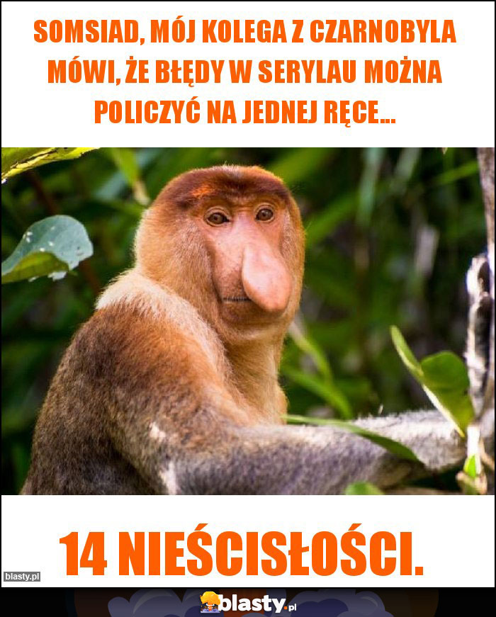 Somsiad, mój kolega z Czarnobyla mówi, że błędy w serylau można policzyć na jednej ręce...