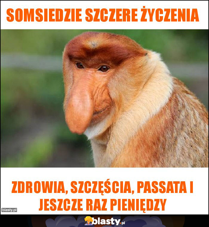 Somsiedzie szczere życzenia Somsiedzie szczere życzenia