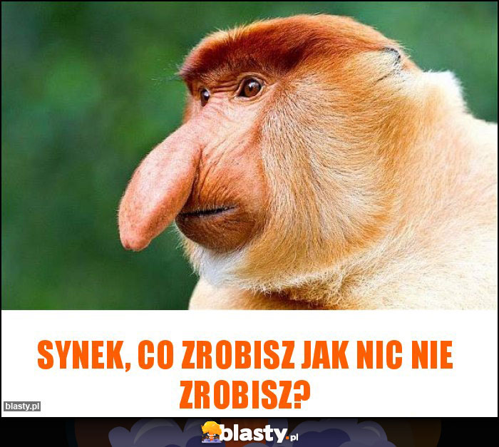 Synek, co zrobisz jak nic nie zrobisz? Synek, co zrobisz jak nic nie zrobisz?